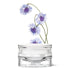 Eyes contour rescue gel mask 15 ml - Skinty Dermocosmetic Shop